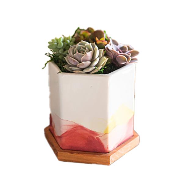 Succulent In Brushed Eleagance Pot - 5in