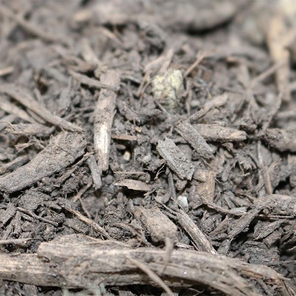 Bulk Mulch - Hardwood Mulch -&nbsp;1 Scoop (3/4 cu. yd)