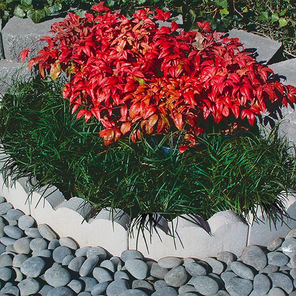 Edger Scallop Curved - Pewter 12in