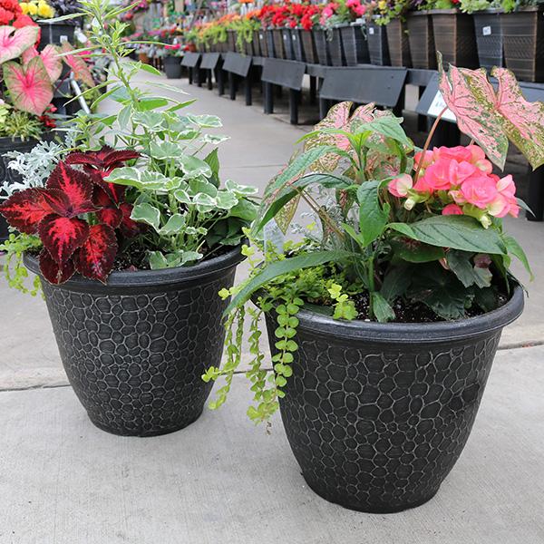 Deck Planter Annual&nbsp;&nbsp;- 14in