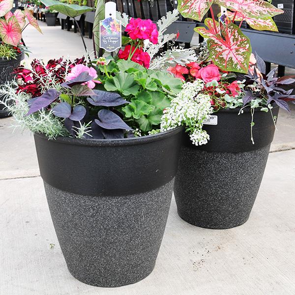 Tall Mixed Planter - 14in