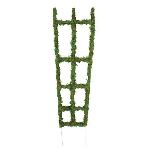 Moss Trellis - 18 in